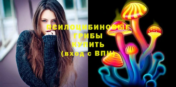 мет Дубна