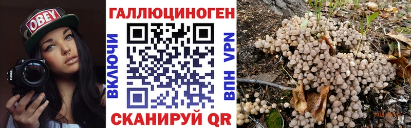 Псилоцибиновые грибы Magic Shrooms  Куртамыш 